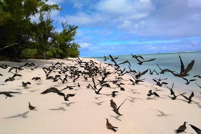 Fishing Trips. Popping, jigging, big game, live bait - Entering Rodrigues Waters: A 7-Hour Day Built Around Tides and Targets