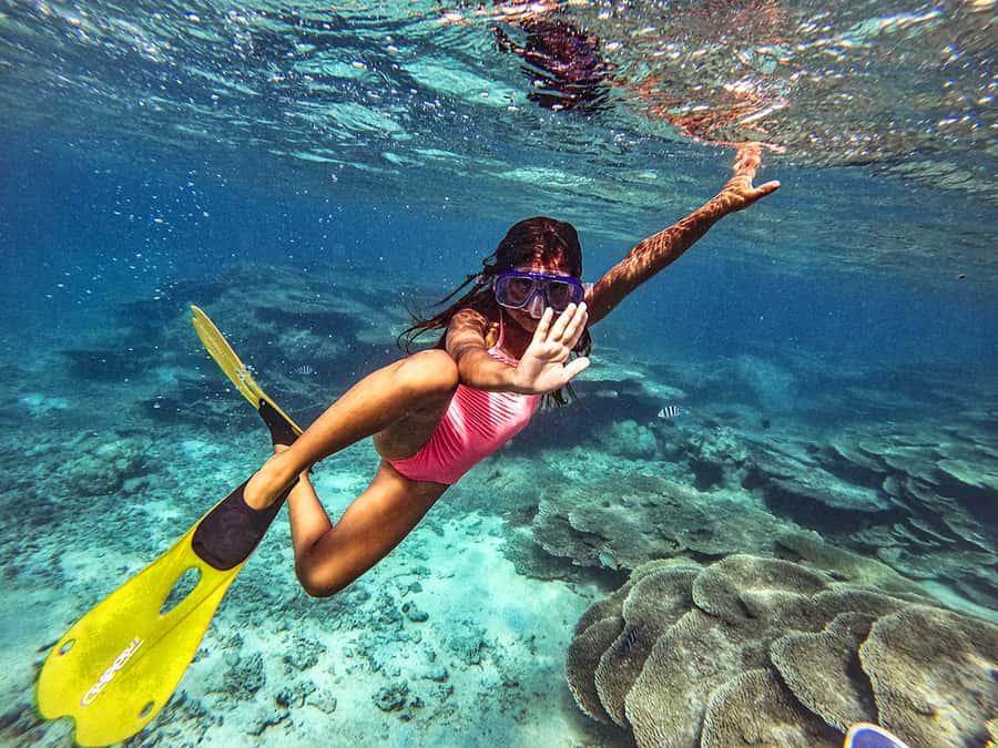 From Blue Bay: Ile aux Cerfs Speedboat Excursion with BBQ - Key points worth your attention
