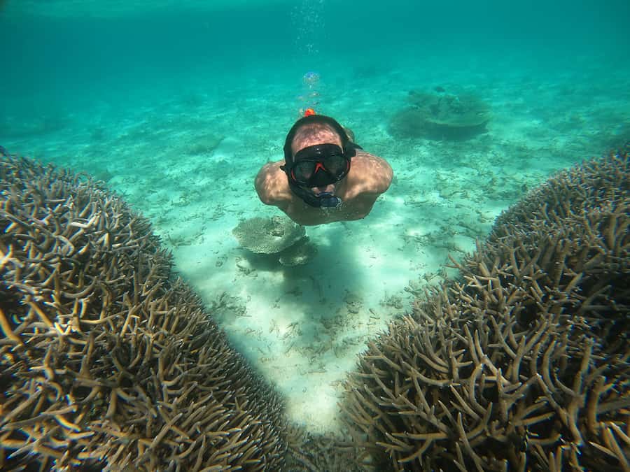From Blue Bay: Ile aux Cerfs Speedboat Excursion with BBQ - From Blue Bay Public Beach to Île aux Cerfs: the pace in real time