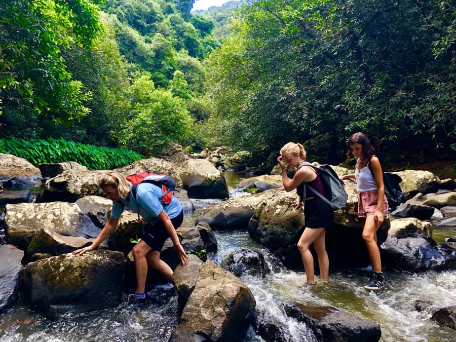 From Chamarel: Waterfall Eco-Hike Adventure - Key points to know before you go