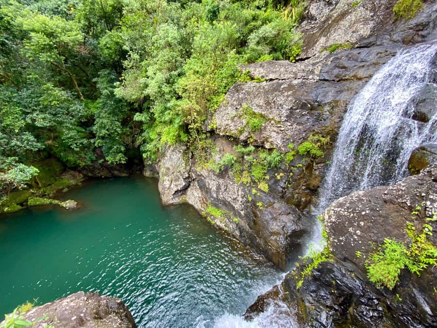 From Quatre Cocos: Tamarind Falls Hiking Day Trip - The trail along Rivière Tamarin: forest walking with real payoff