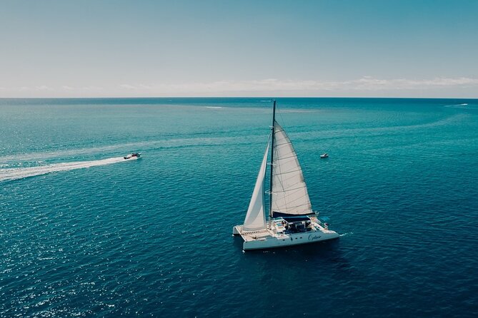 Full Day Catamaran Cruise on shared basis to Bénitiers Island - Price and value: is $90.59 a fair deal?