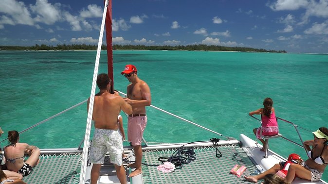 Full-Day Catamaran Cruise to Île aux Cerfs with BBQ Lunch - The snorkeling stop and dolphin odds