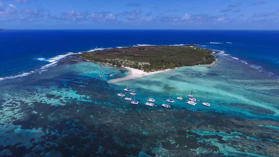 Full Day Catamaran Luxury Cruise to Northern Islands w Lunch - Weather, Seasickness, and Comfort Tips That Actually Matter