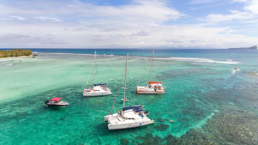 Full Day Catamaran Luxury Cruise to Northern Islands w Lunch - Flat Island Snorkelling Window: Where the Water Looks Best
