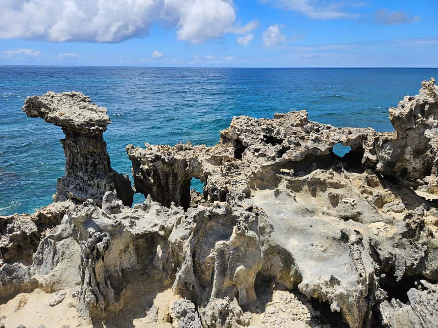FULL-DAY CATASPEED - East Lagoon cruise including transfer. - Key highlights you will feel the moment you arrive