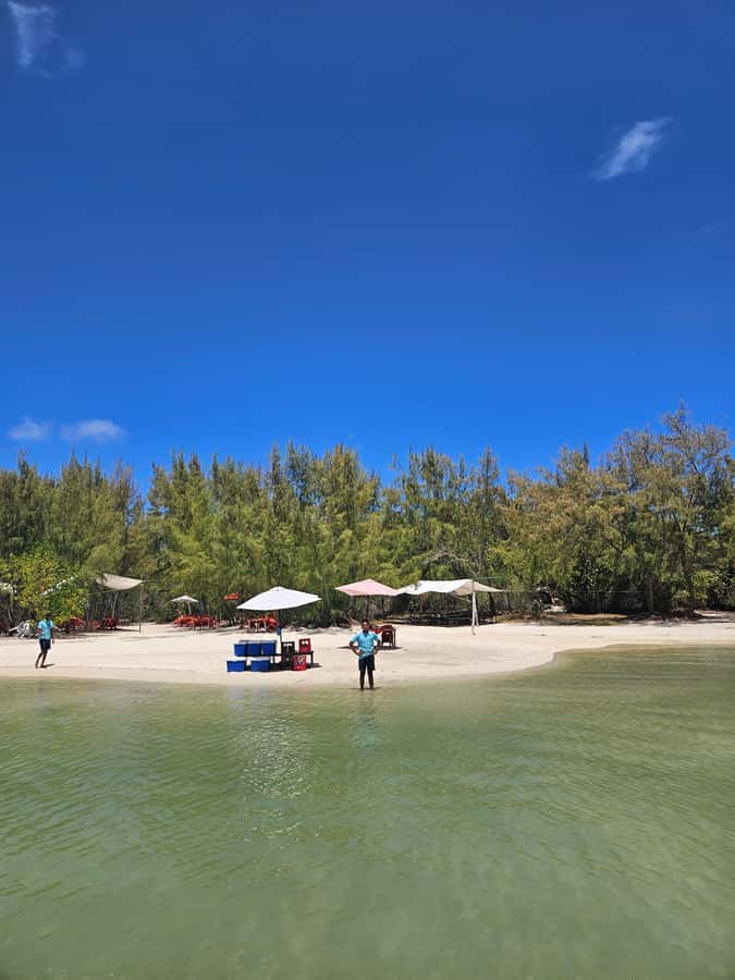 FULL-DAY CATASPEED - East Lagoon cruise including transfer. - Grand River South East Waterfall: where wildlife steals the scene