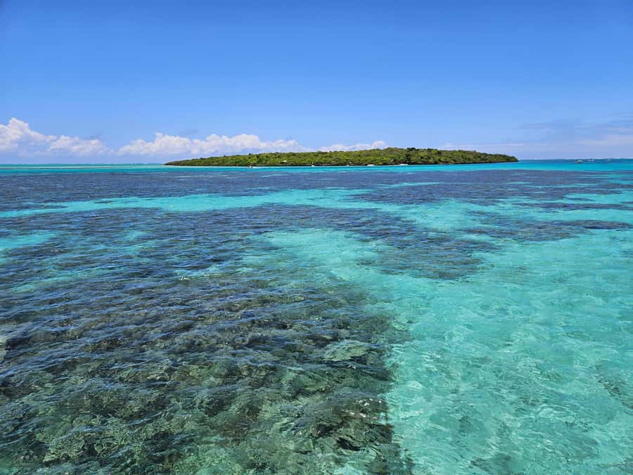 FULL-DAY CATASPEED - East Lagoon cruise including transfer. - Ile aux Cerfs Island: beach time, plus one snorkeling reality check