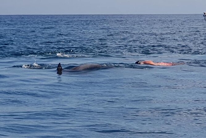Full-Day Dolphin Watching Cruise in Mauritius - Should You Book This Dolphin Watching Cruise?
