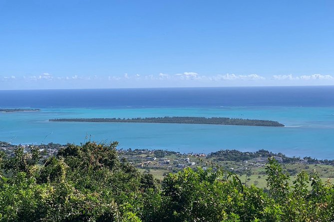 Full-Day Dolphin Watching Cruise in Mauritius - Bénitiers Island BBQ Lunch: Food, Drinks, and Island Views That Break the Day Up