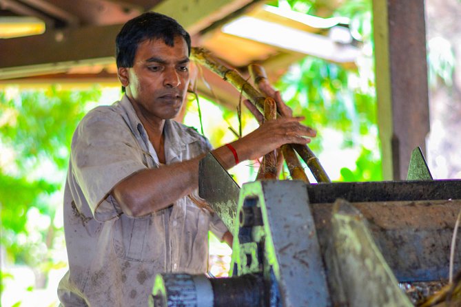 Full Day Guided Tea Route Mauritius: Including Lunch - A full-day tea route from Grand Baie, built for a low-stress day