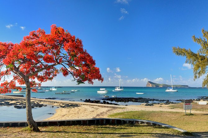 Full Day North Private Guided Tour Mauritius: including lunch - Port Louis Market and the Citadel views: how to get the most in 1 hour
