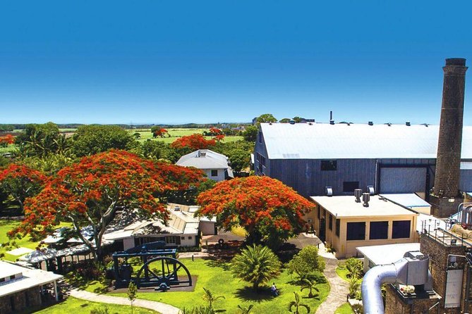Full-Day North Tour of Mauritius, ALL INCLUSIVE Day Trip, Private SUV Car, Guide - Le Fangourin lunch at the sugar factory: a practical break with views