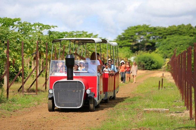 Full-Day North Tour of Mauritius, ALL INCLUSIVE Day Trip, Private SUV Car, Guide - Lunch to souvenirs: what to bring (and what to skip)