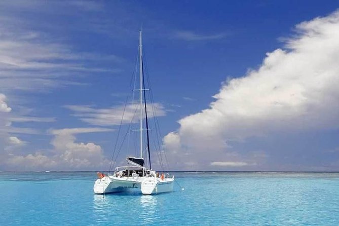 Full-Day Northern Catamaran Cruise: Coin de Mire and Ile Plate Island - Île Plate BBQ lunch: fish and chicken, plus the drinks that make it feel like a vacation