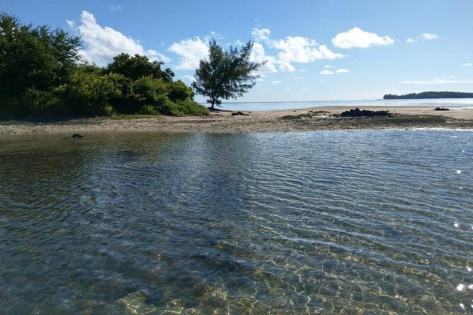 Full-Day Private Hiking le Morne Mountain & Seafood Lunch at Islet Fourneau - Ilot Fourneau Lunch: Boat Transfer, Sunbeds, and a Real 3-Course Meal