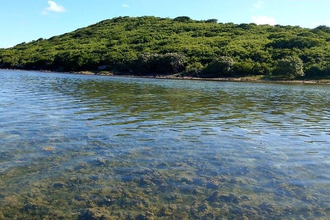 Full-Day Private Hiking le Morne Mountain & Seafood Lunch at Islet Fourneau - Stop 1 on the Le Morne Trail: Flat Start, Signed Paths, Shade When You Get Lucky