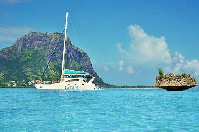 Full day Shared Speedboat Tour - South West Lagoon Dolphin Swim - Crystal Rock snorkeling: the part that rewards good timing