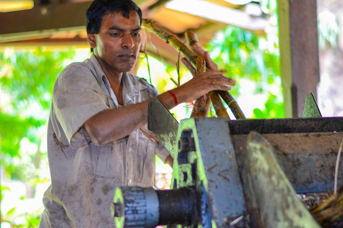 Full-Day South Tour of Mauritius, ALL INCLUSIVE Day Trip, Private SUV Car, Guide - La Vanille Nature Park: crocodiles, insectarium, and a dodo museum stop