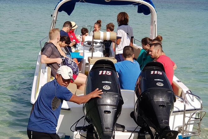 Full-Day Swimming with Dolphins and Casela Nature Park Tour in Mauritius - Price and value: does $101 per person make sense?