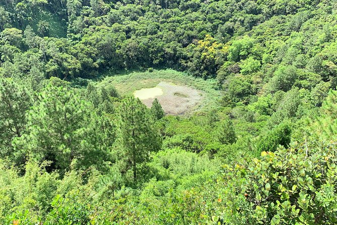 Full-Day Tour of South West Mauritius - Black River Gorges Natural Park Viewpoints