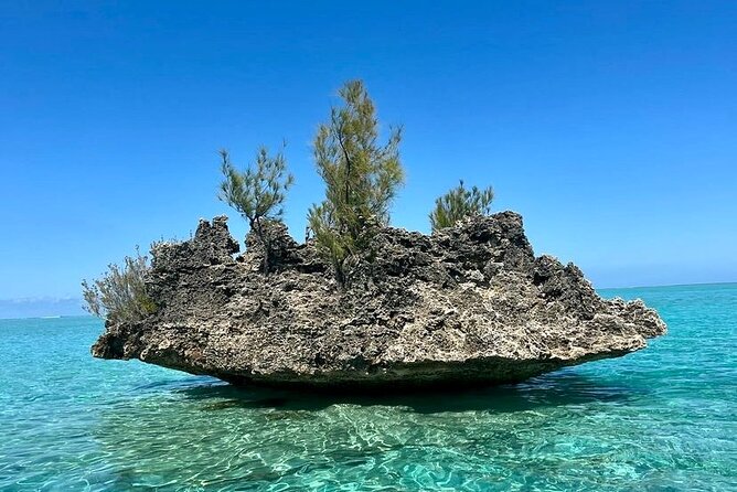 Fully Day Tour: Dolphin Encounters, Crystal Rock at Benitiers Island - Benitier Islet: BBQ lunch, unlimited drinks, and beach time