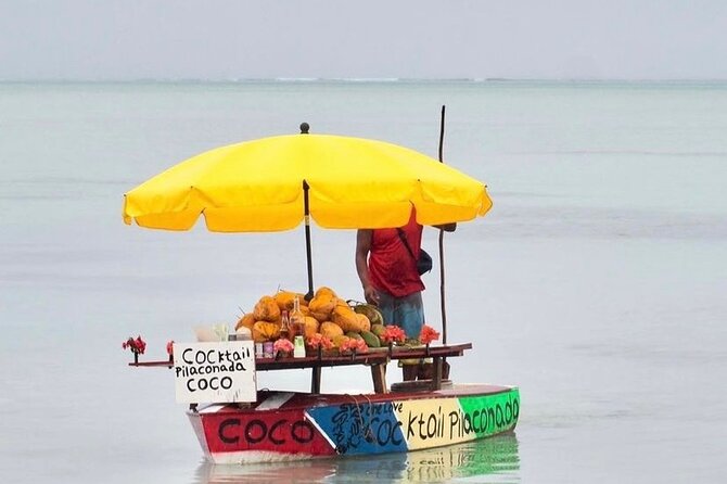 Fully Day Tour: Dolphin Encounters, Crystal Rock at Benitiers Island - Weather, refunds, and managing expectations