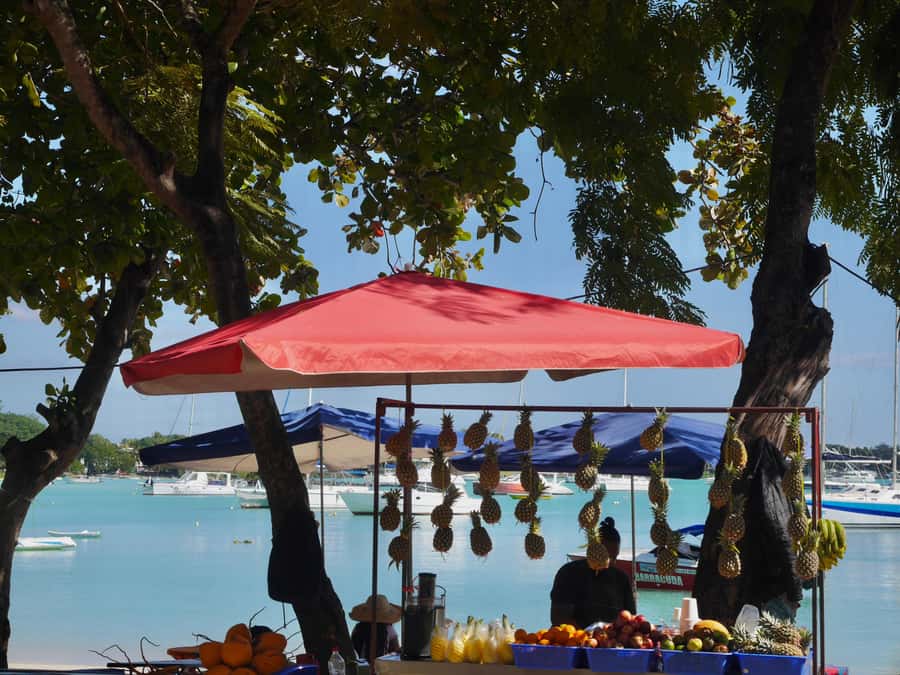 Grand Baie: Coastal Cuisine & Culture Walking Tour - First Steps in Grand Baie, from Happy Rajah to the Super U area