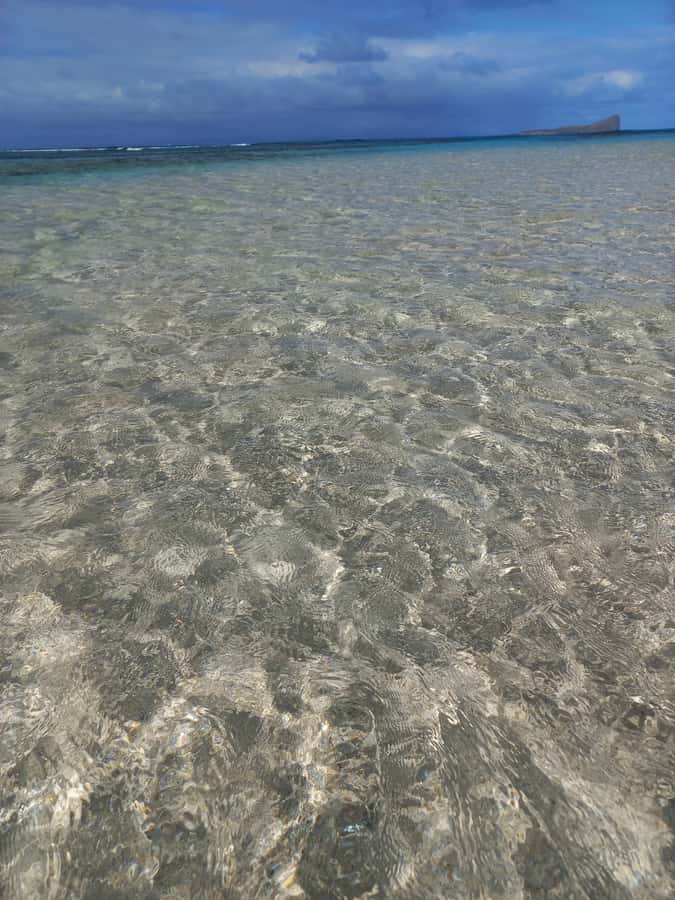 Grand Baie: Three Islands Private Boat Trip and Beach BBQ - Coin de Mire Snorkeling: The Best Spot, With Clear No-Touch Rules