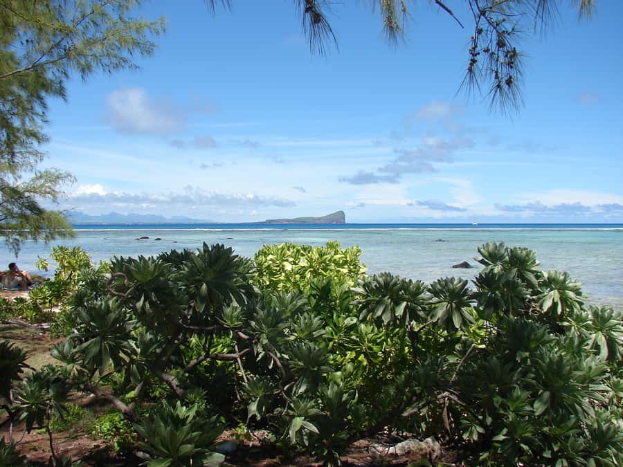 Grand Baie: Three Islands Private Boat Trip and Beach BBQ - The 7-Hour Rhythm From Start to Finish
