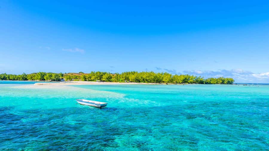 Grand Bay: Catamaran Cruise to Flat Island with BBQ Lunch - Key things to know before you go