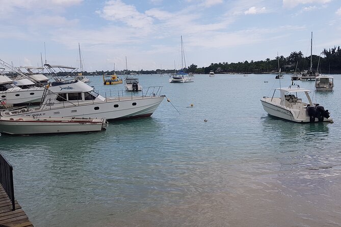 Grand Bay Food Tour - Pacing and comfort, including rain and family needs