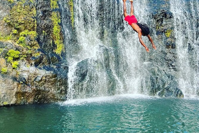 Guided Hiking The 7 WATERFALLS with relaxing car tour in the end - Alexandra Falls and the Black River Gorges, Relaxing by Car