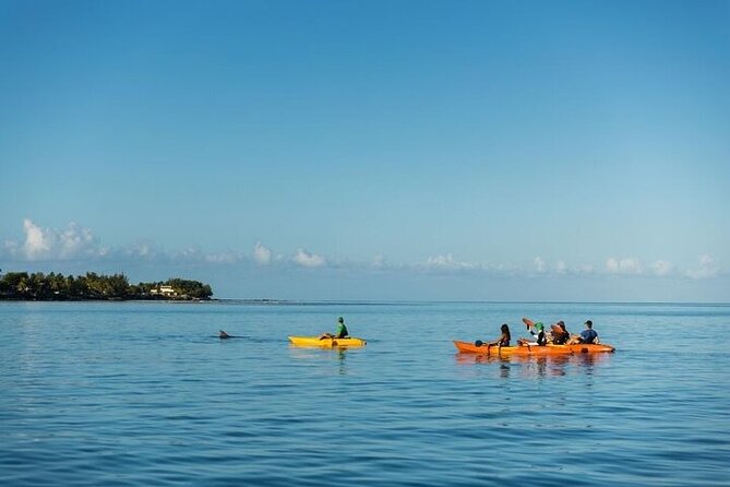Guided Kayak 2 Hours Activity with Dolphins - Sunrise in Tamarin Bay: why 6:20 am matters