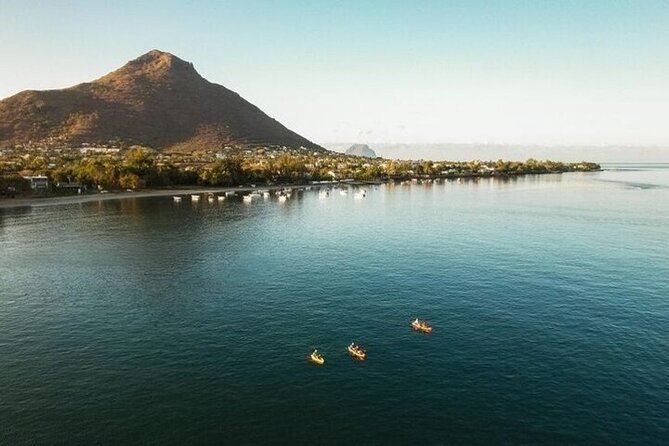 Guided Kayak 2 Hours Activity with Dolphins - Dolphins in their habitat: spinner and bottlenose odds
