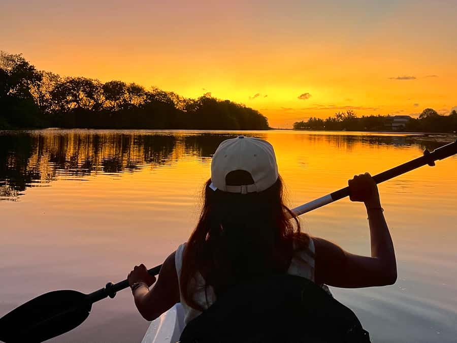 Guided Sundowner Kayak Tour - Key things that make this tour worth your time