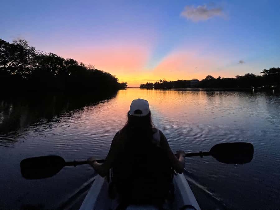 Guided Sundowner Kayak Tour - What You Actually Do on the Water: Quiet Paddling Toward the Sunset