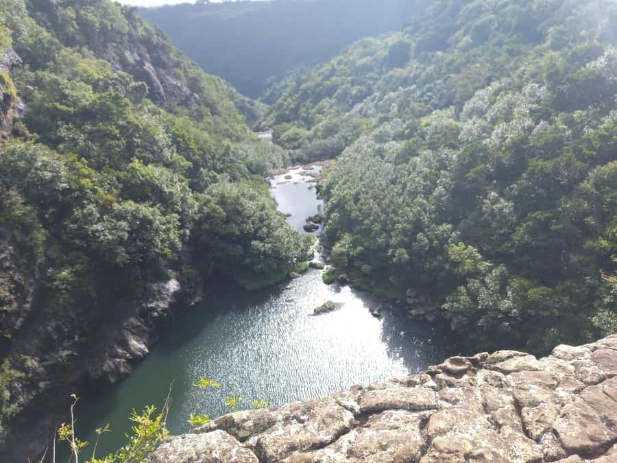 Henrietta: Hiking at the Tamarind Waterfalls - Following the river through thick vegetation, with safety in mind