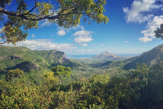Hiking in the Black River Gorges National Parc - Native Forest - Black River Gorges National Park: what makes this hike special