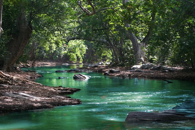 Hiking in the Black River Gorges National Parc - Native Forest - The Black River dip: when a swim is actually refreshing