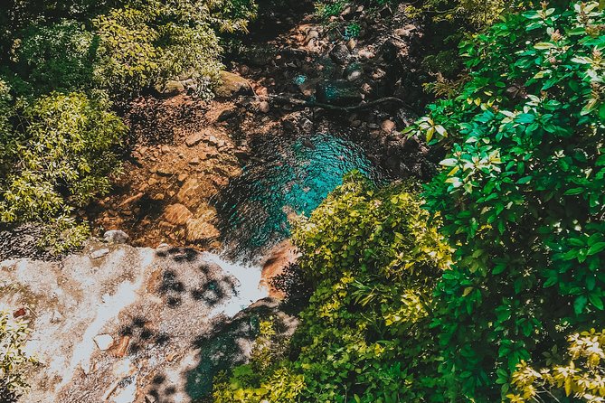Hiking in the Black River Gorges National Parc - Native Forest - Who should book this hike, and who should choose another plan