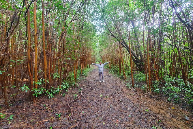 Hiking the Black River Gorges: Full-day with Lunch and Transfer - Black River Gorges in one day: why this hike hits