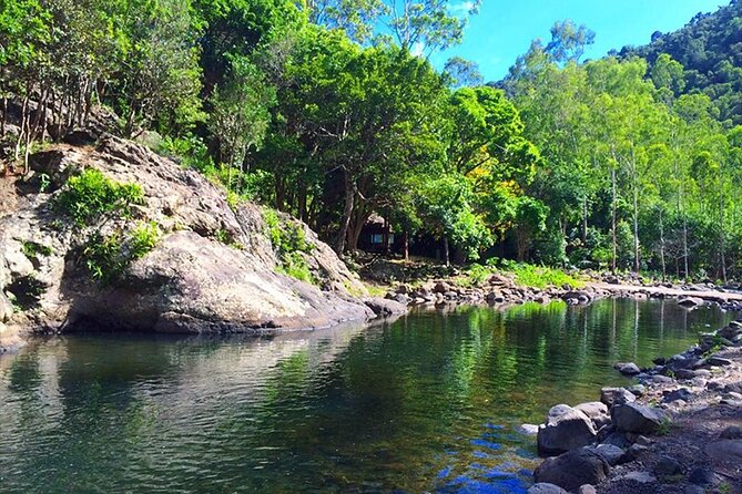 Hiking the Black River Gorges: Full-day with Lunch and Transfer - Trail level: fairly easy, but not a stroll