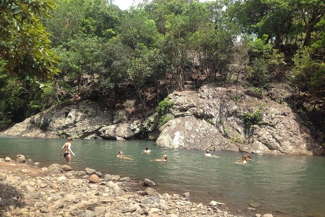 Hiking the Black River Gorges: Full-day with Lunch and Transfer - Stop-by-stop: what each part of the day feels like