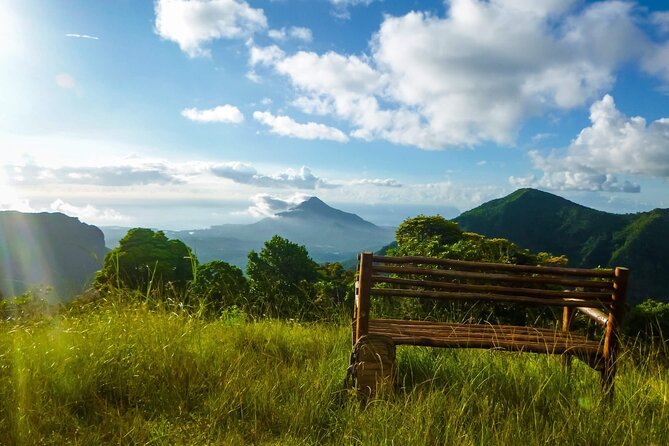 Hiking the Black River Gorges: Full-day with Lunch and Transfer - Who this trip suits best