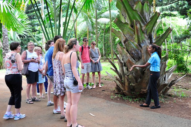Historical Guided Day Tour : City - Sugar World - Botanical Garden - Beau-Plan’s L’Aventure du Sucre: how sugar shaped Mauritius