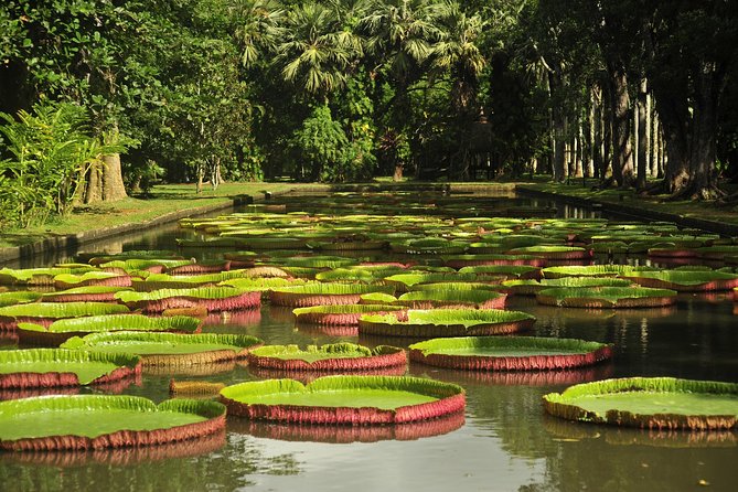 Historical Private Guided Tour, City-SugarWorld-Botanical Garden - Min.2 persons - Key Highlights You’ll Actually Feel