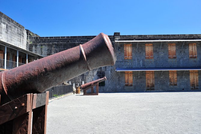 Historical Private Guided Tour, City-SugarWorld-Botanical Garden - Min.2 persons - Citadel Fort Adelaide: Short Visit, Big Port Louis Views