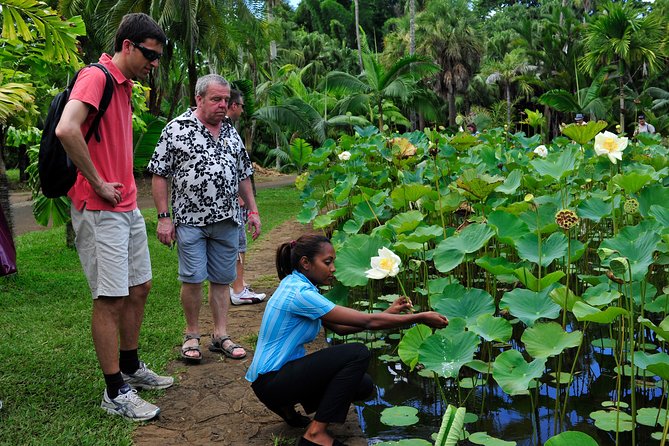 Historical Private Guided Tour, City-SugarWorld-Botanical Garden - Min.2 persons - Odysseo Oceanarium Mauritius: Marine Life Without Guesswork