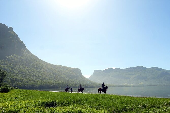 Horse Riding experience by Haras du Morne - Key highlights worth your attention